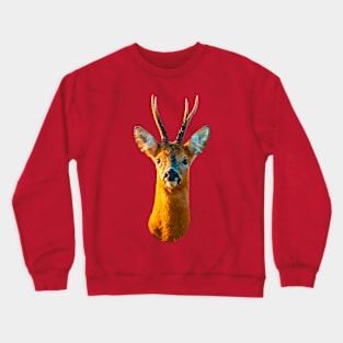 Roebuck stare Crewneck Sweatshirt